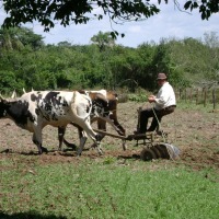 Foto de San José (Caaguazu)