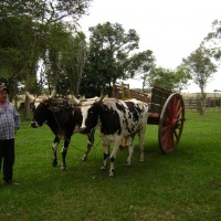 Foto de San José (Caaguazu)