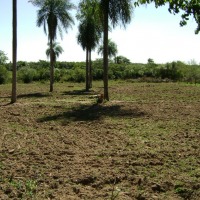 Foto de San José (Caaguazu)