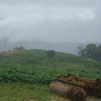 Foto de El Tocuyo