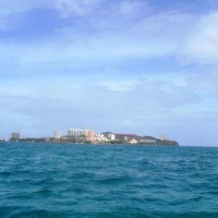 Foto de Margarita