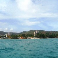 Foto de Margarita