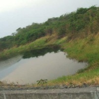 Foto de Barinas