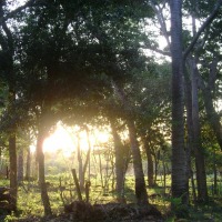 Foto de San José (Caaguazu)
