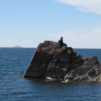Foto de Tiquina