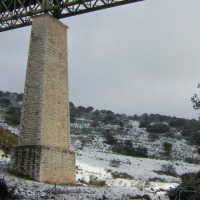 Foto de Cabra de Cordoba