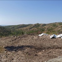 Foto de Ciruelos del Pinar