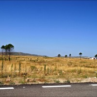 Foto de Ablanque