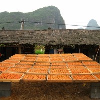 Foto de Guilin