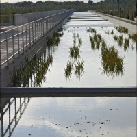 Foto de Zaragoza