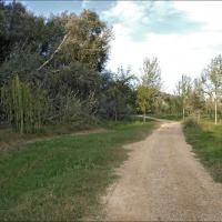 Foto de Zaragoza
