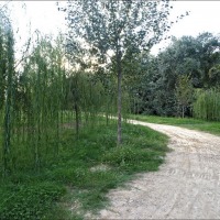 Foto de Zaragoza