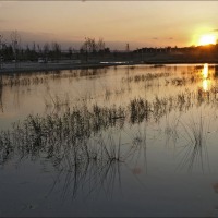 Foto de Zaragoza