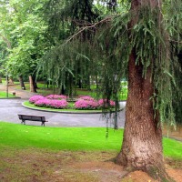 Foto de Oviedo