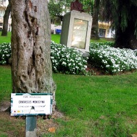 Foto de Oviedo