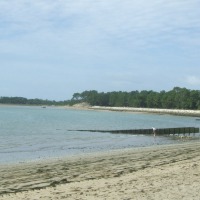 Foto de St Trojan les Bains