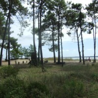 Foto de St Trojan les Bains