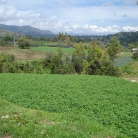 Foto de Jesus (Cajamarca)