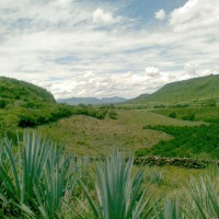 Foto de Ayotlán (Jalisco)