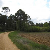 Foto de Cuenca