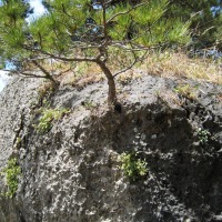 Foto de Cuenca