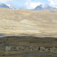 Foto de La Paz