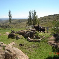Foto de Cordoba (Copina)
