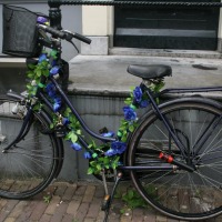 Foto de Amsterdan