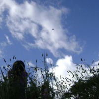 Foto de Delicias de Concepcion, Morazan