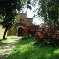 Foto de Gondar