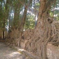 Foto de Gondar