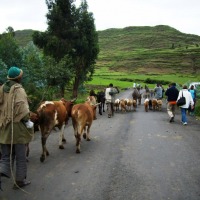 Foto de Lalibela