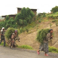 Foto de Lalibela