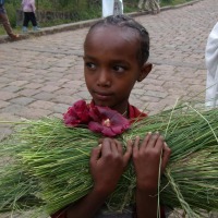 Foto de Lalibela