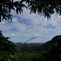 Foto de Delicias de Concepcion