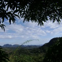 Foto de Delicias de Concepcion