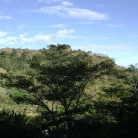 Foto de Delicias de Concepcion