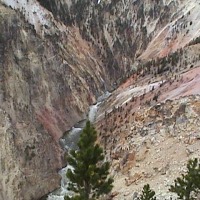 Foto de Yellowstone National Park
