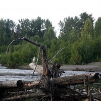 Foto de Lake Creeck