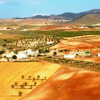 Foto de La Jamula