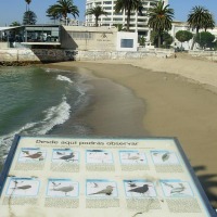 Foto de Viña del Mar