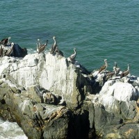 Foto de Viña del Mar