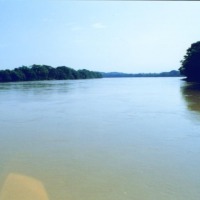 Foto de Ambalema