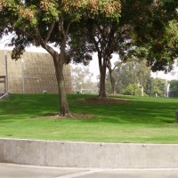 Foto de Cerritos