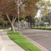 Foto de Cerritos