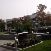 Foto de Cerritos