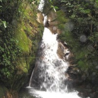 Foto de Pichanaki