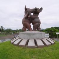 Foto de Tecomán (Colima)