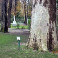 Foto de Oviedo