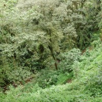 Foto de San Jose
